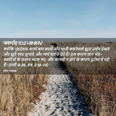 Picture 02 - जकर्याह 10:2 HINIRV - क्योंकि गृहदेवता - Bible Verse Picture