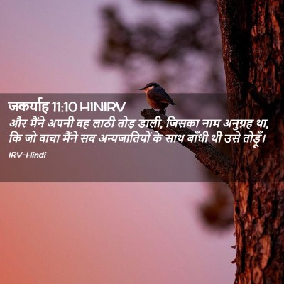 Picture 02 - जकर्याह 11:10 HINIRV - और मैंने अपनी वह - Bible Verse Picture