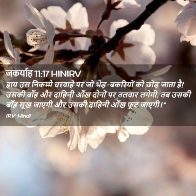 Picture 02 - जकर्याह 11:17 HINIRV - हाय उस निकम्मे - Bible Verse Picture