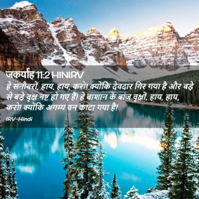 Picture 02 - जकर्याह 11:2 HINIRV - हे सनौबरों, हाय, - Bible Verse Picture