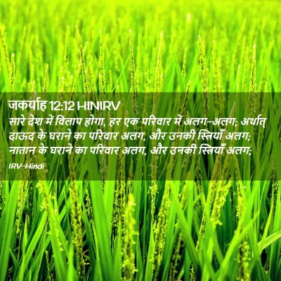 Picture 02 - जकर्याह 12:12 HINIRV - सारे देश में विलाप - Bible Verse Picture