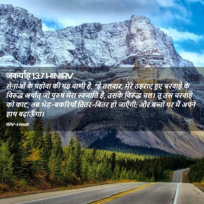 Picture 02 - जकर्याह 13:7 HINIRV - सेनाओं के यहोवा की - Bible Verse Picture