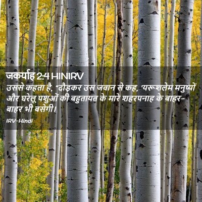 Picture 02 - जकर्याह 2:4 HINIRV - उससे कहता है, - Bible Verse Picture