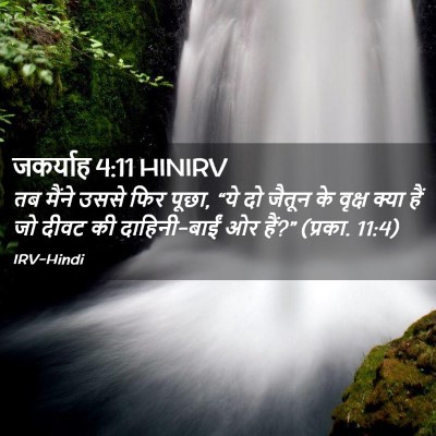 Picture 02 - जकर्याह 4:11 HINIRV - तब मैंने उससे फिर - Bible Verse Picture