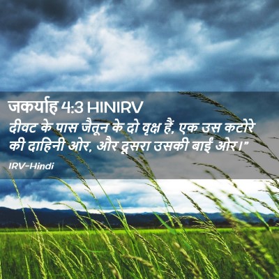 Picture 02 - जकर्याह 4:3 HINIRV - दीवट के पास जैतून - Bible Verse Picture
