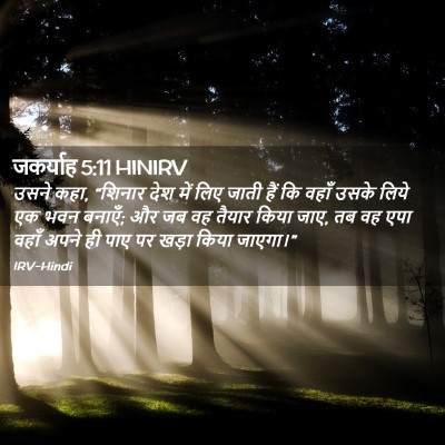 Picture 02 - जकर्याह 5:11 HINIRV - उसने कहा, “शिनार - Bible Verse Picture