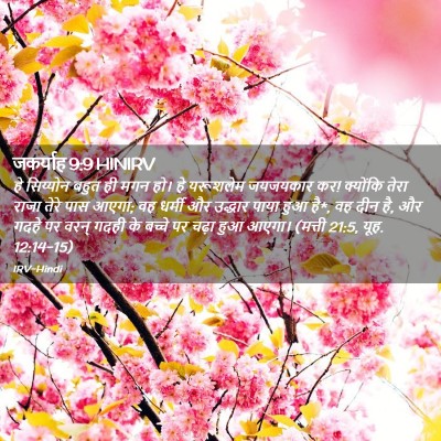 Picture 02 - जकर्याह 9:9 HINIRV - हे सिय्योन बहुत ही - Bible Verse Picture
