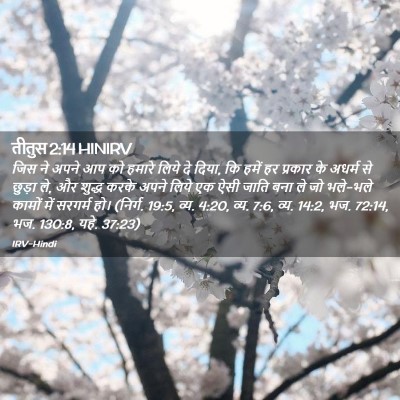 Picture 02 - तीतुस 2:14 HINIRV - जिस ने अपने आप को - Bible Verse Picture