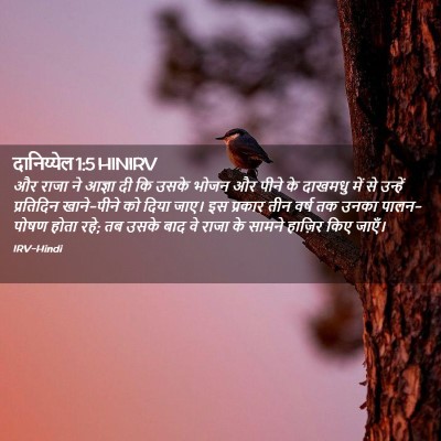 Picture 02 - दानिय्येल 1:5 HINIRV - और राजा ने आज्ञा दी - Bible Verse Picture