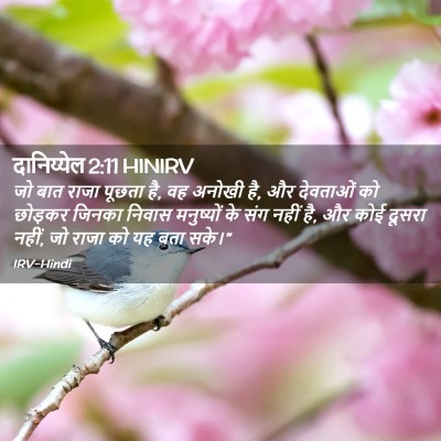 Picture 02 - दानिय्येल 2:11 HINIRV - जो बात राजा पूछता - Bible Verse Picture