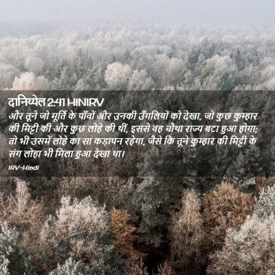 Picture 02 - दानिय्येल 2:41 HINIRV - और तूने जो मूर्ति - Bible Verse Picture