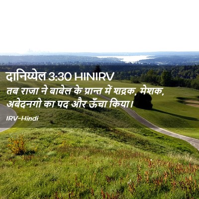 Picture 02 - दानिय्येल 3:30 HINIRV - तब राजा ने बाबेल के - Bible Verse Picture