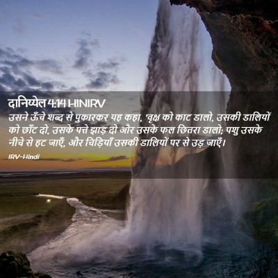 Picture 02 - दानिय्येल 4:14 HINIRV - उसने ऊँचे शब्द से - Bible Verse Picture