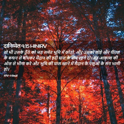 Picture 02 - दानिय्येल 4:15 HINIRV - तो भी उसके ठूँठे को - Bible Verse Picture