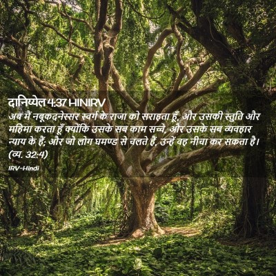 Picture 02 - दानिय्येल 4:37 HINIRV - अब मैं - Bible Verse Picture