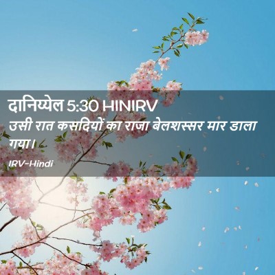 Picture 02 - दानिय्येल 5:30 HINIRV - उसी रात कसदियों का - Bible Verse Picture