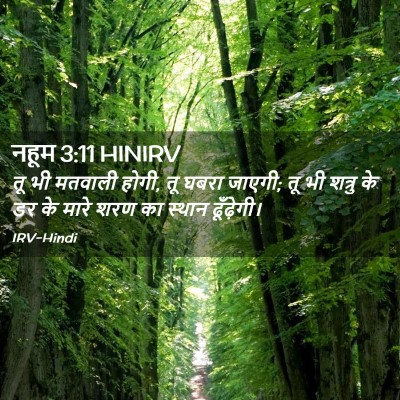 Picture 02 - नहूम 3:11 HINIRV - तू भी मतवाली होगी, - Bible Verse Picture