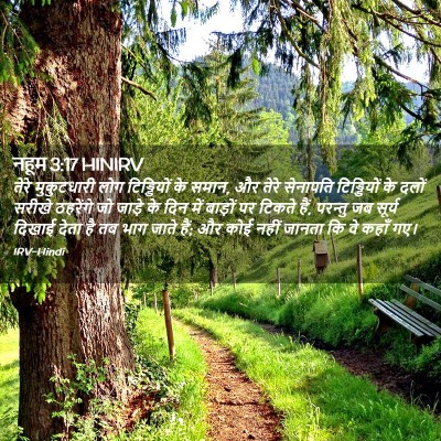 Picture 02 - नहूम 3:17 HINIRV - तेरे मुकुटधारी - Bible Verse Picture