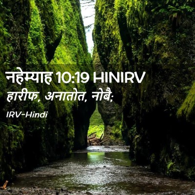Picture 02 - नहेम्याह 10:19 HINIRV - हारीफ, अनातोत, - Bible Verse Picture