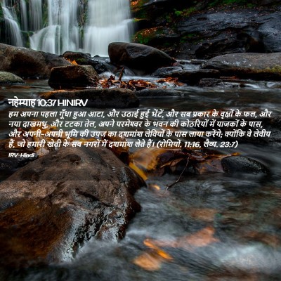 Picture 02 - नहेम्याह 10:37 HINIRV - हम अपना पहला गूँधा - Bible Verse Picture
