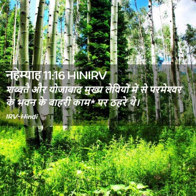 Picture 02 - नहेम्याह 11:16 HINIRV - शब्बतै और योजाबाद - Bible Verse Picture