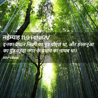 Picture 02 - नहेम्याह 11:9 HINIRV - इनका प्रधान - Bible Verse Picture