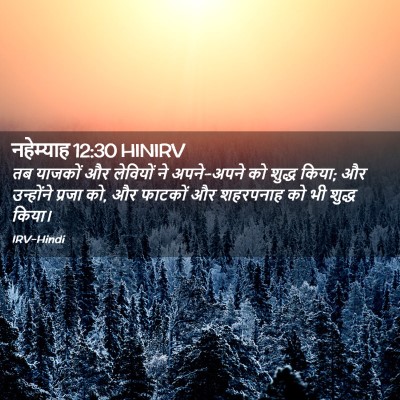 Picture 02 - नहेम्याह 12:30 HINIRV - तब याजकों और - Bible Verse Picture