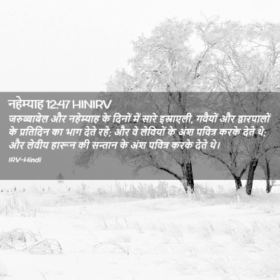 Picture 02 - नहेम्याह 12:47 HINIRV - जरुब्बाबेल और - Bible Verse Picture