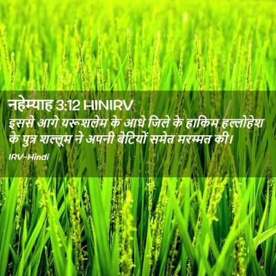 Picture 02 - नहेम्याह 3:12 HINIRV - इससे आगे यरूशलेम - Bible Verse Picture