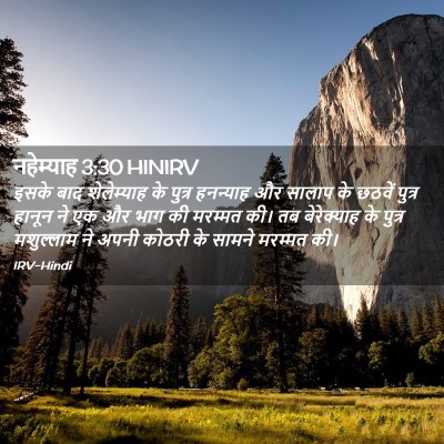 Picture 02 - नहेम्याह 3:30 HINIRV - इसके बाद - Bible Verse Picture