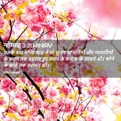 Picture 02 - नहेम्याह 3:31 HINIRV - उसके बाद - Bible Verse Picture