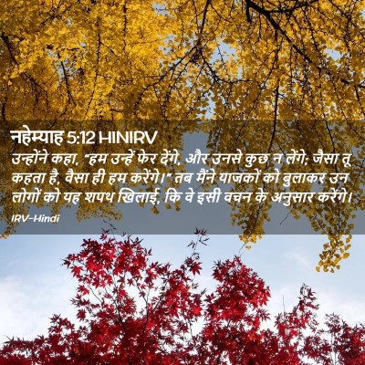 Picture 02 - नहेम्याह 5:12 HINIRV - उन्होंने कहा, “हम - Bible Verse Picture