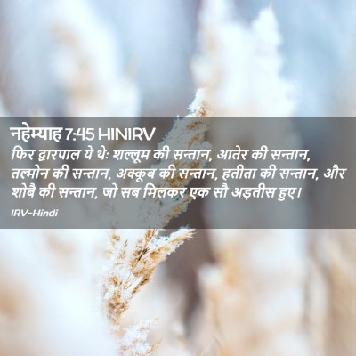 Picture 02 - नहेम्याह 7:45 HINIRV - फिर द्वारपाल ये - Bible Verse Picture