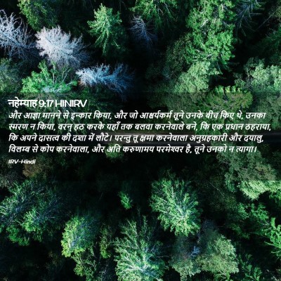 Picture 02 - नहेम्याह 9:17 HINIRV - और आज्ञा मानने से - Bible Verse Picture
