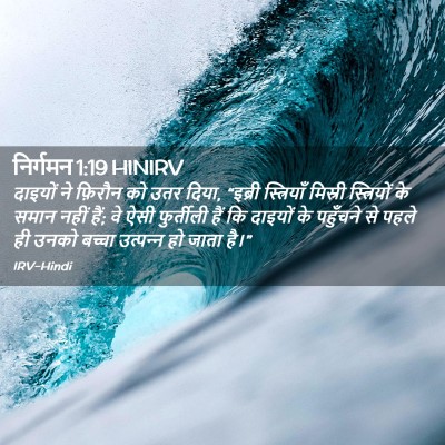 Picture 02 - निर्गमन 1:19 HINIRV - दाइयों ने फ़िरौन - Bible Verse Picture