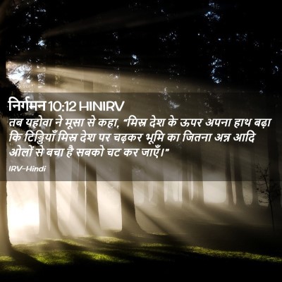 Picture 02 - निर्गमन 10:12 HINIRV - तब यहोवा ने मूसा से - Bible Verse Picture