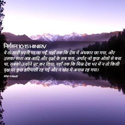 Picture 02 - निर्गमन 10:15 HINIRV - वे तो सारी धरती पर - Bible Verse Picture