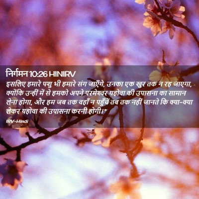 Picture 02 - निर्गमन 10:26 HINIRV - इसलिए हमारे पशु भी - Bible Verse Picture