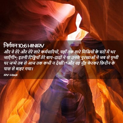 Picture 02 - निर्गमन 10:6 HINIRV - और वे तेरे और तेरे - Bible Verse Picture