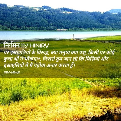 Picture 02 - निर्गमन 11:7 HINIRV - पर इस्राएलियों के - Bible Verse Picture