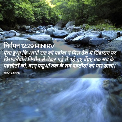 Picture 02 - निर्गमन 12:29 HINIRV - ऐसा हुआ कि आधी रात - Bible Verse Picture