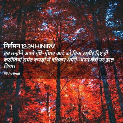 Picture 02 - निर्गमन 12:34 HINIRV - तब उन्होंने अपने - Bible Verse Picture