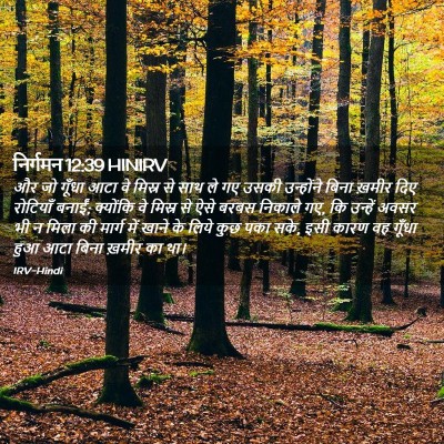 Picture 02 - निर्गमन 12:39 HINIRV - और जो गूँधा आटा वे - Bible Verse Picture