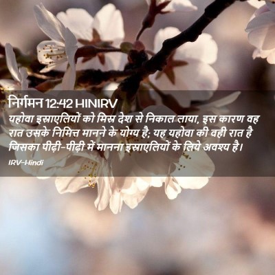 Picture 02 - निर्गमन 12:42 HINIRV - यहोवा इस्राएलियों - Bible Verse Picture