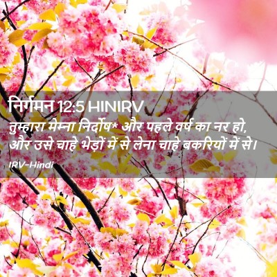 Picture 02 - निर्गमन 12:5 HINIRV - तुम्हारा मेम्‍ना - Bible Verse Picture