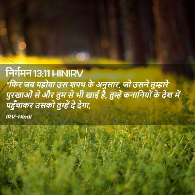Picture 02 - निर्गमन 13:11 HINIRV - “फिर जब यहोवा उस - Bible Verse Picture