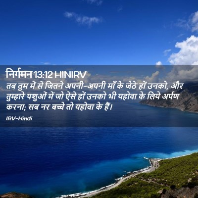 Picture 02 - निर्गमन 13:12 HINIRV - तब तुम में से जितने - Bible Verse Picture
