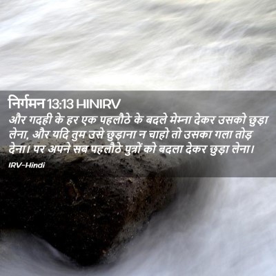 Picture 02 - निर्गमन 13:13 HINIRV - और गदही के हर एक - Bible Verse Picture