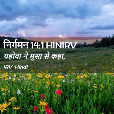 Picture 02 - निर्गमन 14:1 HINIRV - यहोवा ने मूसा से - Bible Verse Picture