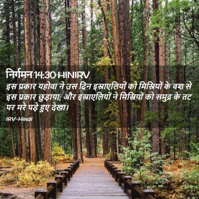 Picture 02 - निर्गमन 14:30 HINIRV - इस प्रकार यहोवा ने - Bible Verse Picture